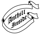 Anthill Inside by Anton L. Fuhrmann
