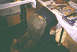 [thumbnail]