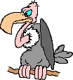 Vulture